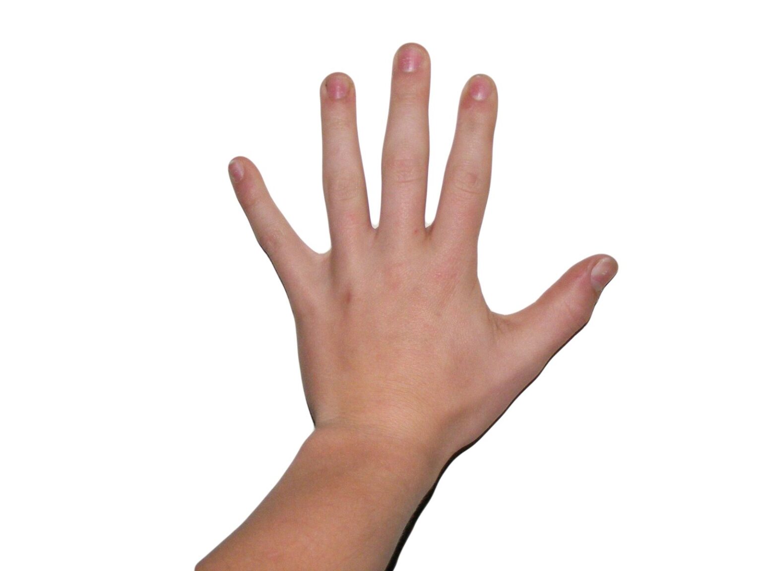 Die Weiße Hand – Ursprung, Symbolik und ihre wahre Bedeutung die weiße hand
