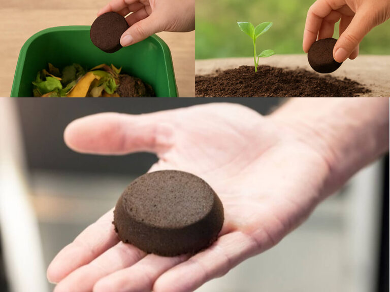 Pucks entsorgen leicht gemacht – So wirst du Kaffeesatz richtig los pucks entsorgen